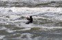 Thumbs/tn_Kite Board Open 2016 zondag 182.jpg